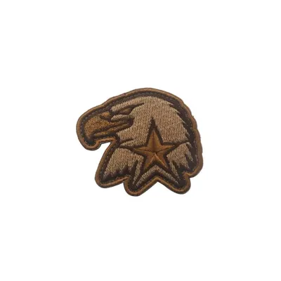 Bordado Velcro Águila Estrella F24
