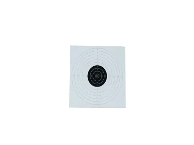 Skydeskiver 100 Stk. Til Skydekasser 17x17 cm - ASG