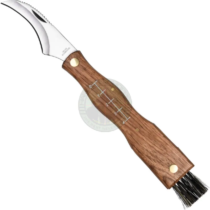 Svampe Kniv M Børste