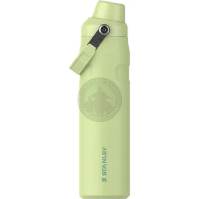 The Aerolight™ IceFlow™ Water Bottle FAST Flow 0.6L – Citron