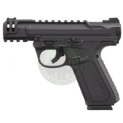 AAP-01C Assassin