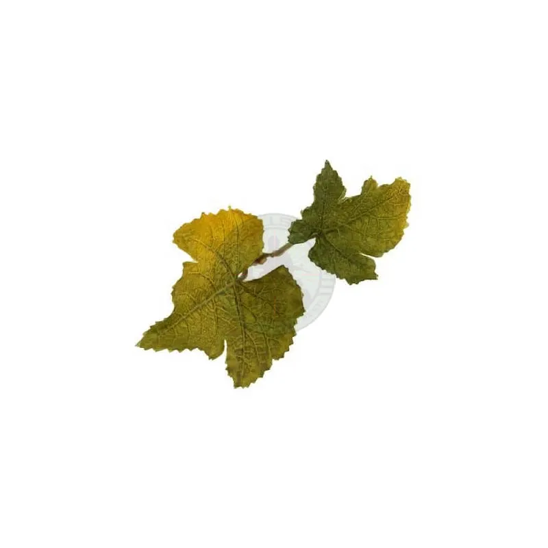 Leaf – LC1 – Lime (Limegrøn) · Camo