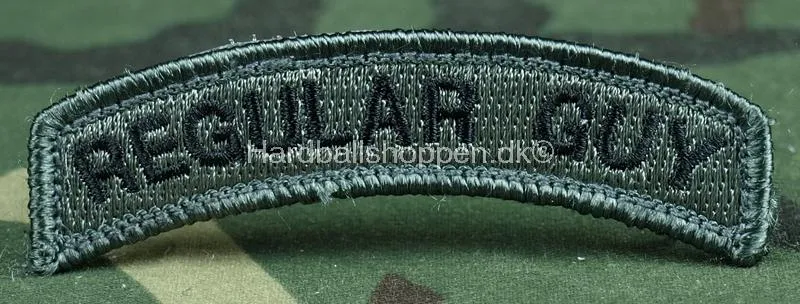 Regular Guy Patch