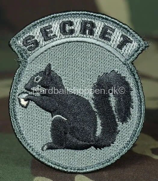 Secret Squirrel Patch