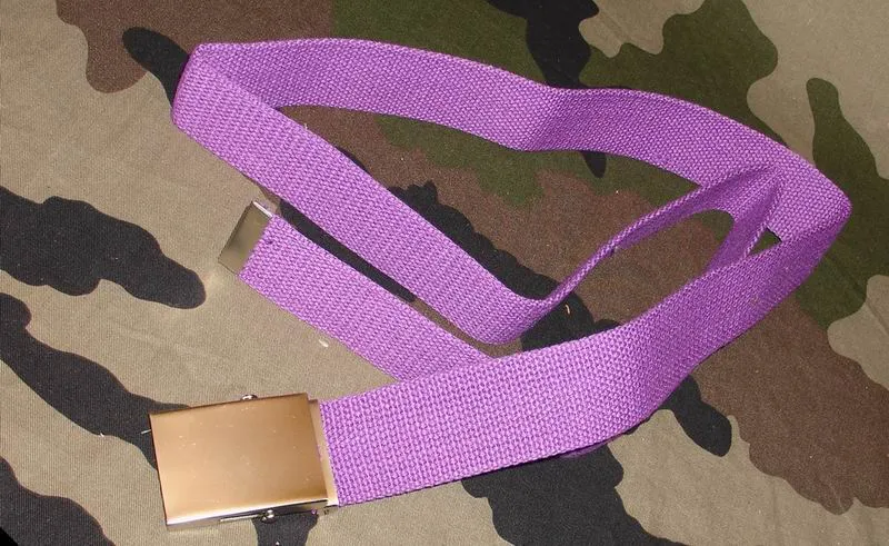 Bælte 4,5cm Lilla Chrome Spænde