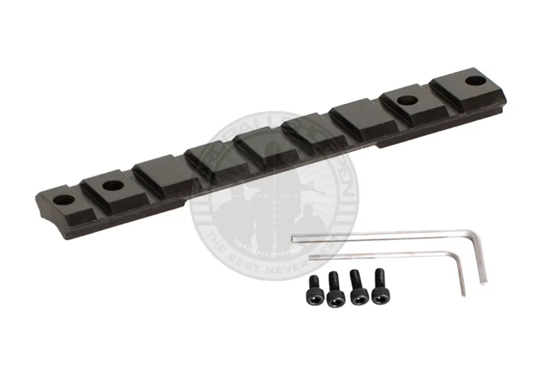 VSR-10 Kikkertbro · Negro