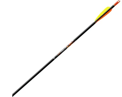 1616 Tribute xx75 Pfeil M3 - Easton