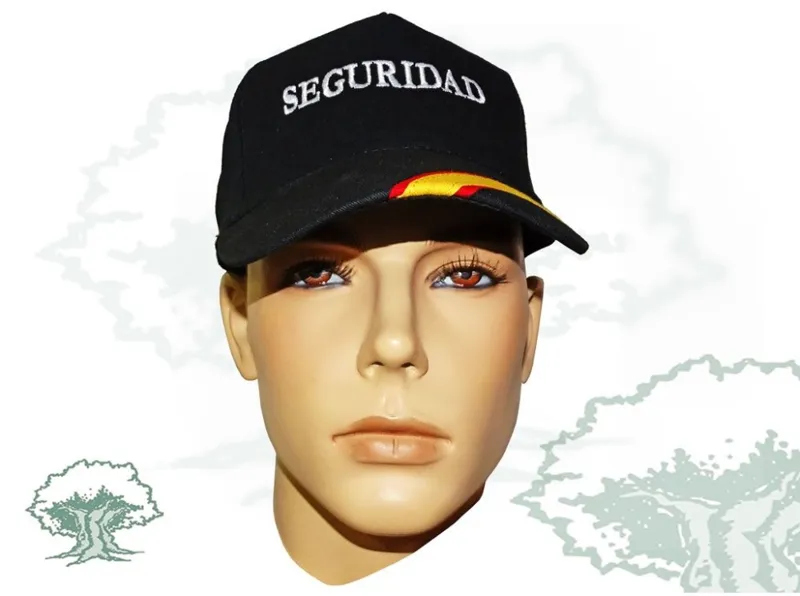 Seguridad
