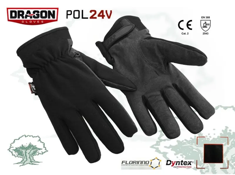 Dragon POL24V Protección