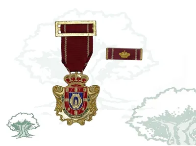 Medalla Ciudad de Ciudad