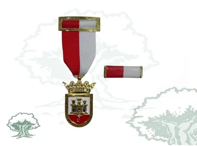 Medalla Ciudad de San Roque