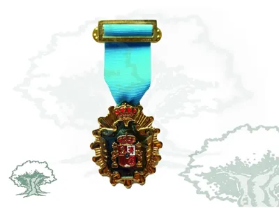 Medalla Licenciado en Filosofía