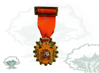 Medalla Licenciado en Ciencias Sociales