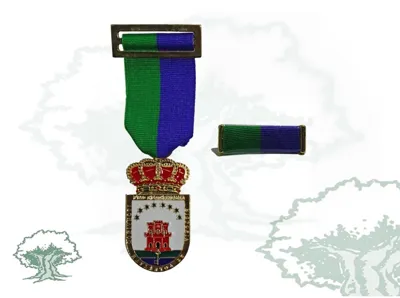 Medalla Mancomunidad del Campo de Gibraltar