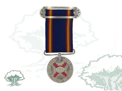 Medalla Campaña