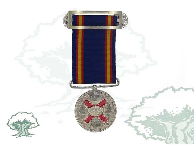 Medalla Campaña