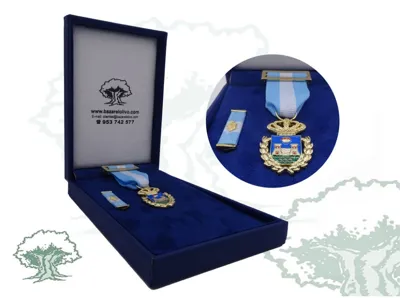 Medalla Ciudad de la Línea de la Concepción