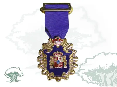 Medalla Licenciado en Psicopedagogía