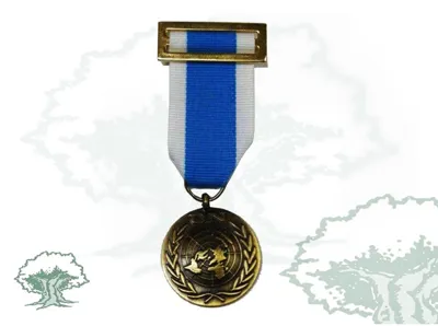 Medalla ONU (Servicios Especiales)