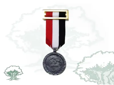 Medalla Irak