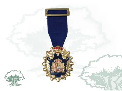 Medalla Licenciado en Psicología y Filosofía