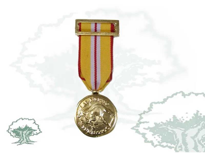 Medalla Mérito Turístico