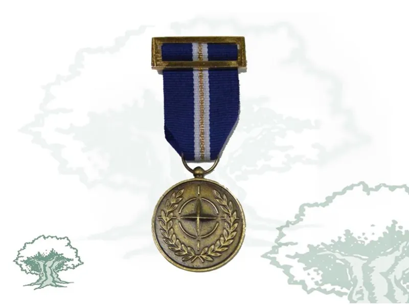 Medalla OTAN (Eagle Assist)