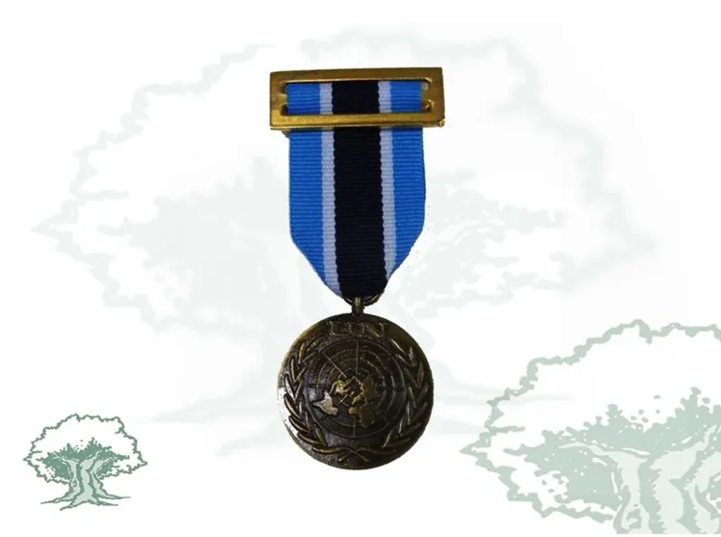 Medalla ONU (UNMIK)