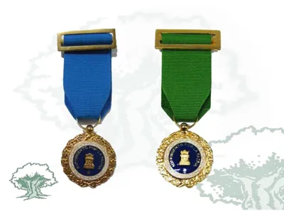 Medalla Sufrimiento por la Patria