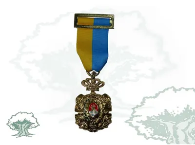 Medalla Ciudad de Algeciras