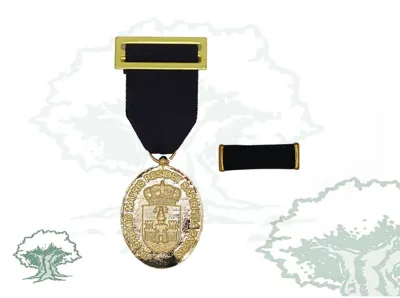 Medalla Ciudad de el Puerto de Santa María