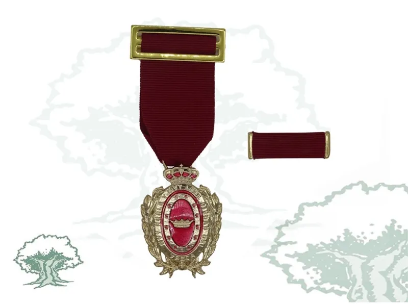 Medalla Ciudad de Úbeda