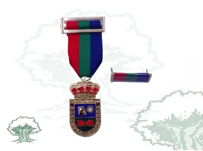 Medalla Ciudad de Carchuna Calahonda