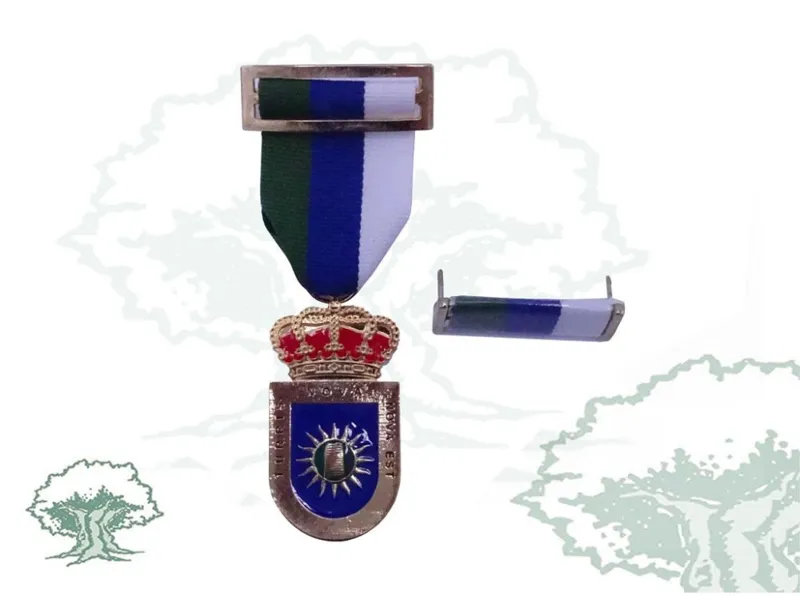Medalla Ciudad de Torrenueva