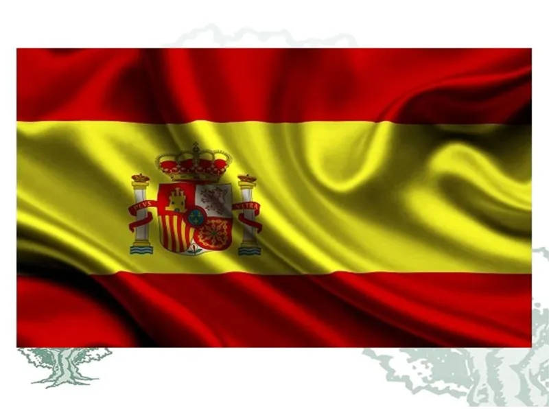 Bandera España de Raso