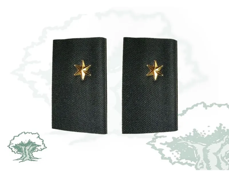 Hombreras Alferez Guardia Civil