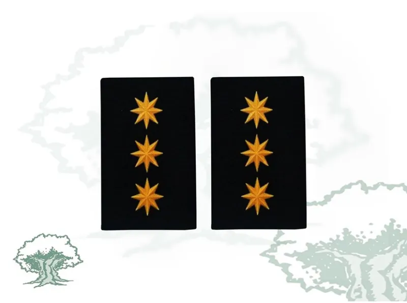 Hombreras Coronel GRS Guardia Civil Antiguas