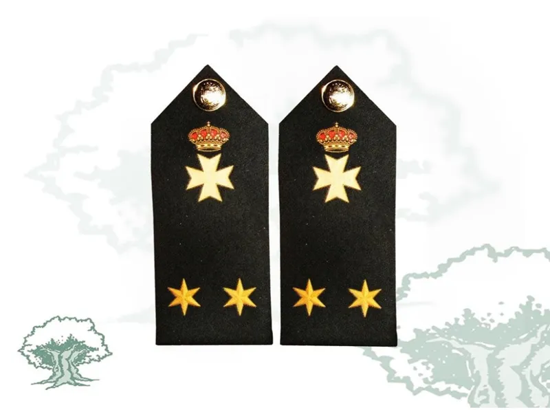 Hombreras Teniente Sanidad Ejército