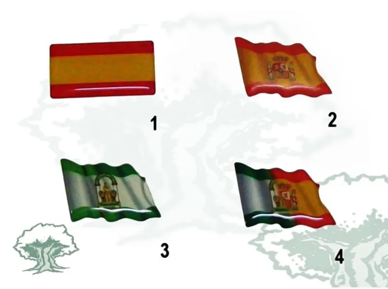 Pegatina Bandera Modelos