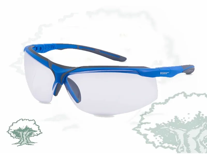 Pegaso Gafas de Seguridad