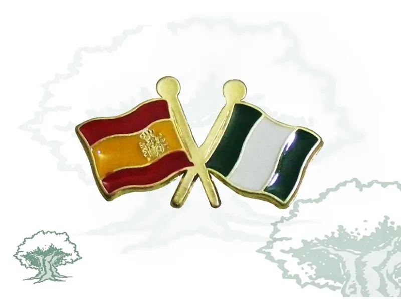 Pin Banderas