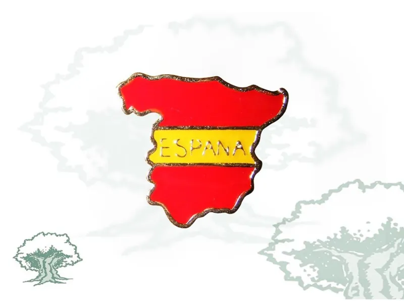 Pin Silueta Mapa de España