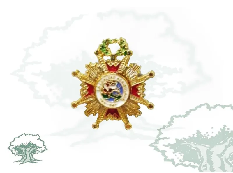 Pin Isabel la Católica