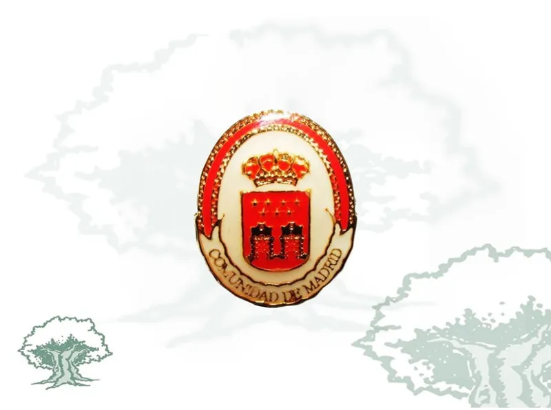 Pin Comunidad de Madrid