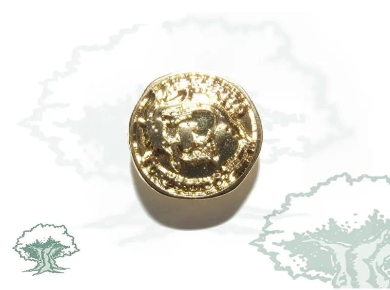 Pin Mérito Turístico
