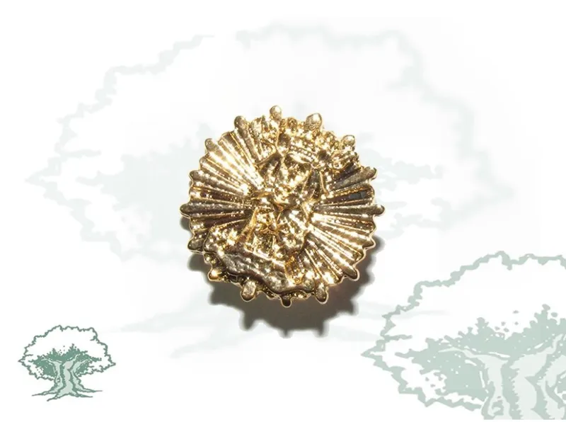 Pin Solidaridad