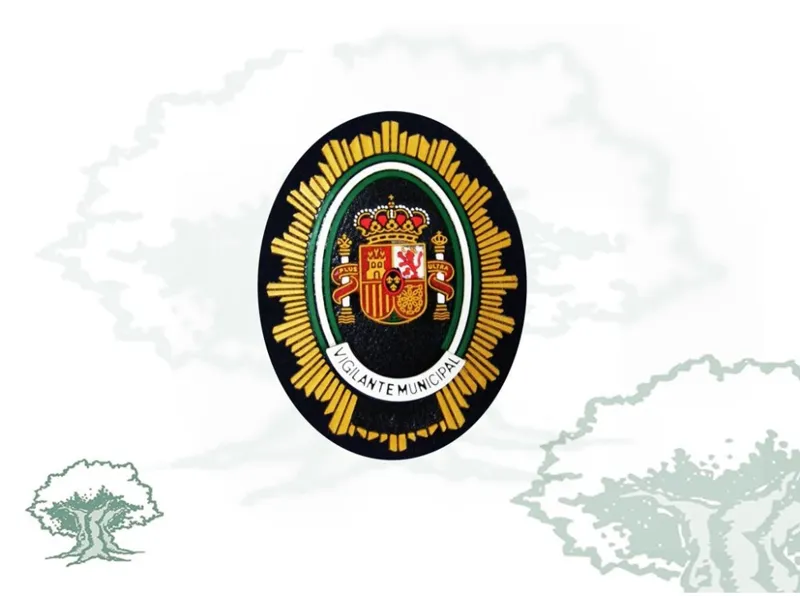 Vigilante Municipal