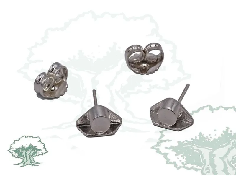 Pendientes Tricornio de · Plata
