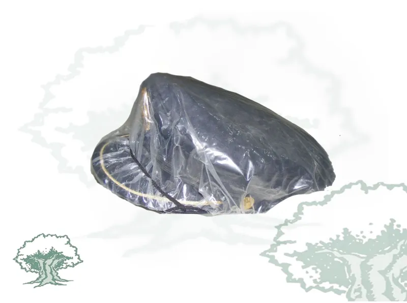 Gorra de Plato