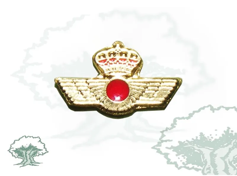 Pin Roquisqui Servicios Generales